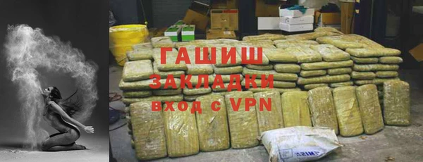 индика Каменногорск