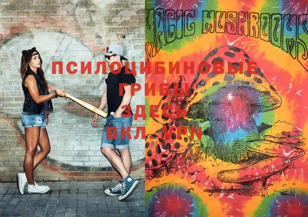 стафф Алексин