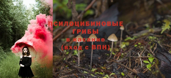 стафф Алексин