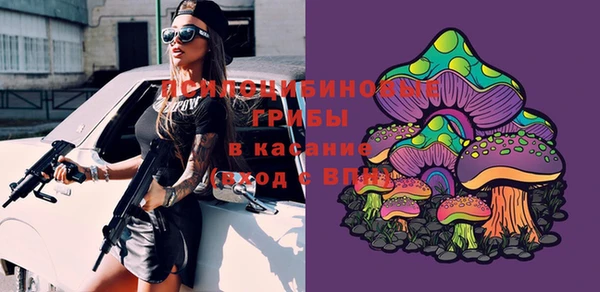 ешки Зерноград