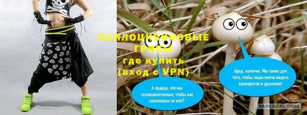 бошки Алексеевка