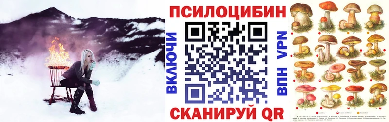 Псилоцибиновые грибы GOLDEN TEACHER Берёзовский