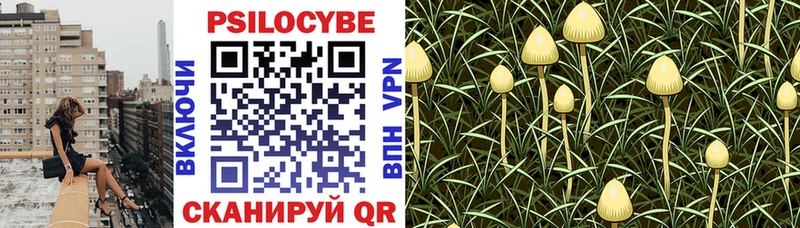 Галлюциногенные грибы Magic Shrooms Берёзовский